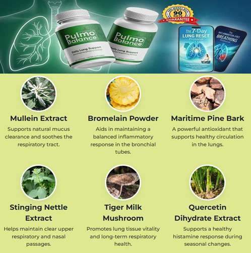 Pulmo Balance Ingredients